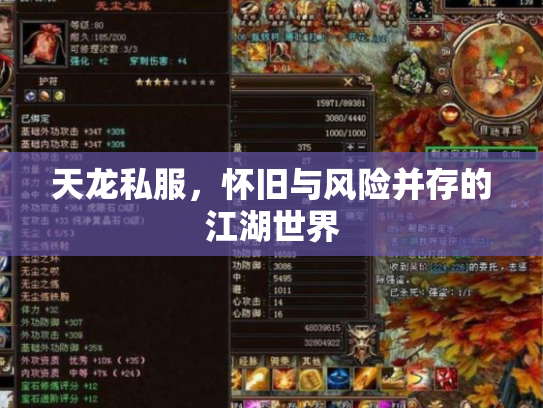 天龙私服，怀旧与风险并存的江湖世界
