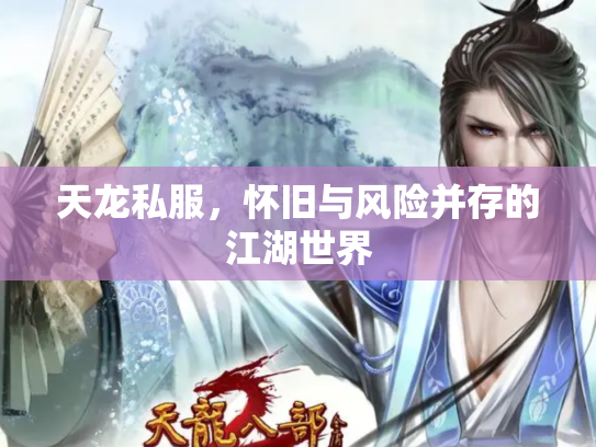 天龙私服，怀旧与风险并存的江湖世界