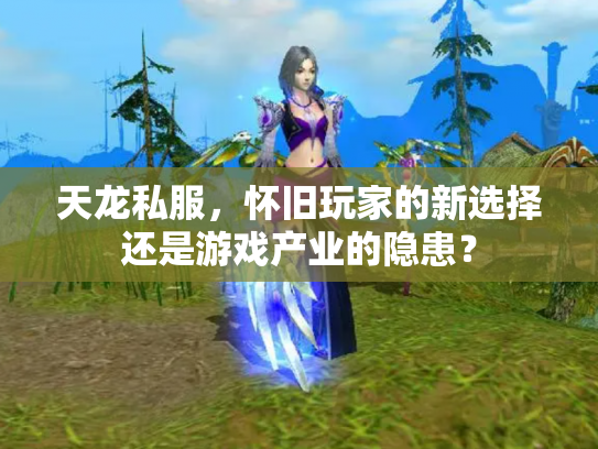 天龙私服，怀旧玩家的新选择还是游戏产业的隐患？