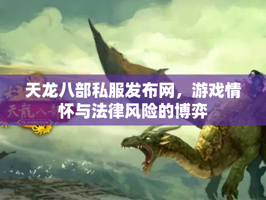 天龙八部私服发布网，游戏情怀与法律风险的博弈