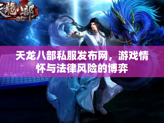 天龙八部私服发布网，游戏情怀与法律风险的博弈