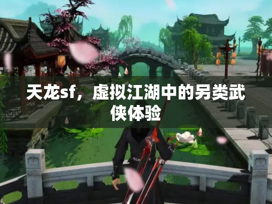 天龙sf，虚拟江湖中的另类武侠体验