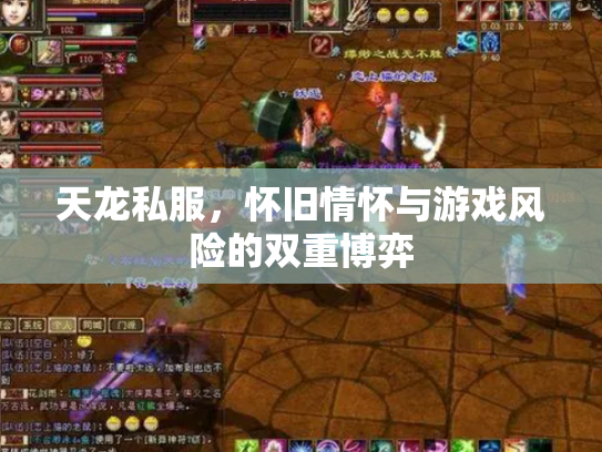 天龙私服，怀旧情怀与游戏风险的双重博弈