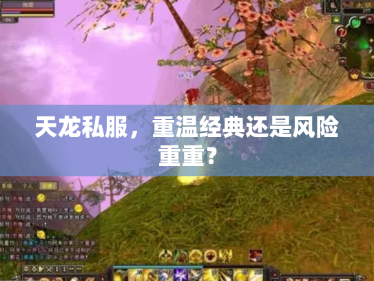 天龙私服，重温经典还是风险重重？