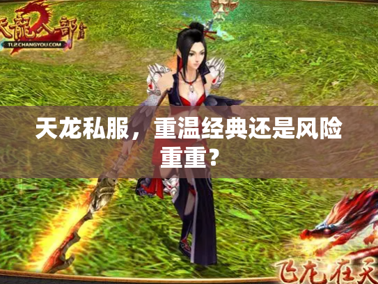 天龙私服，重温经典还是风险重重？