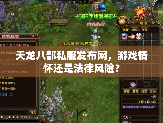 天龙八部私服发布网，游戏情怀还是法律风险？