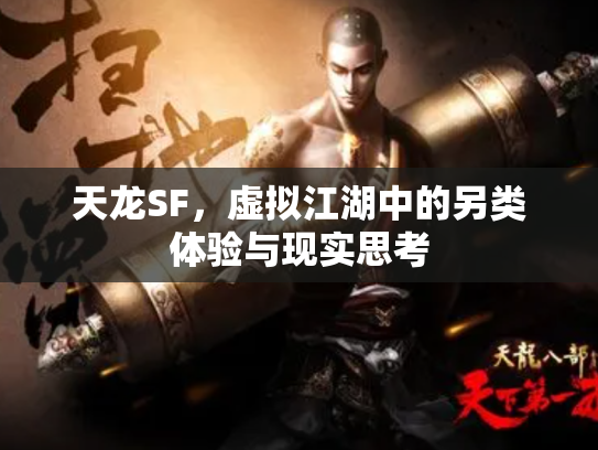 天龙SF，虚拟江湖中的另类体验与现实思考