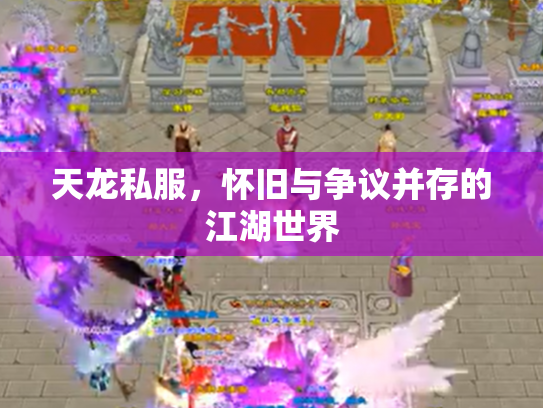 天龙私服，怀旧与争议并存的江湖世界