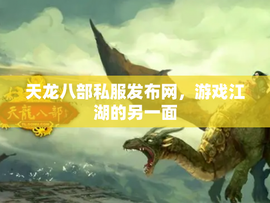 天龙八部私服发布网，游戏江湖的另一面
