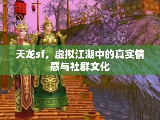 天龙sf，虚拟江湖中的真实情感与社群文化
