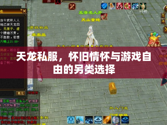 天龙私服，怀旧情怀与游戏自由的另类选择