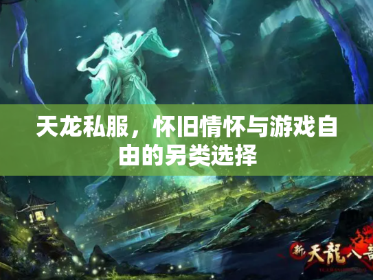 天龙私服，怀旧情怀与游戏自由的另类选择