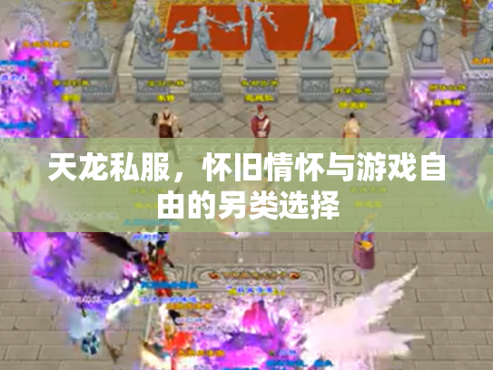 天龙私服，怀旧情怀与游戏自由的另类选择