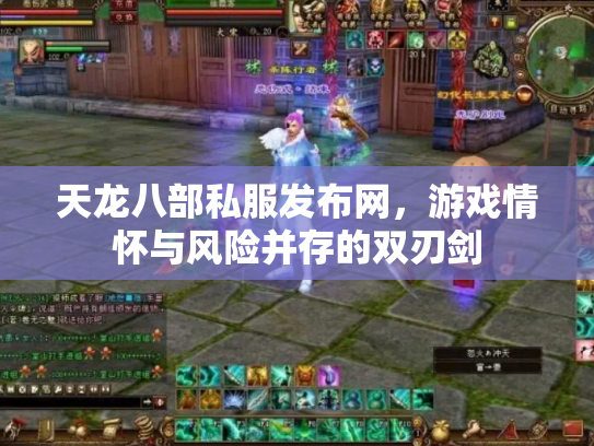 天龙八部私服发布网，游戏情怀与风险并存的双刃剑