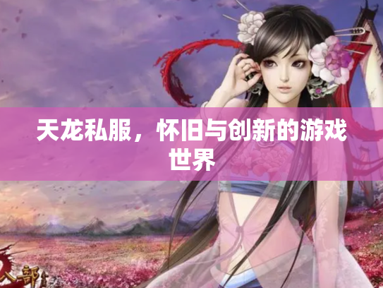 天龙私服，怀旧与创新的游戏世界