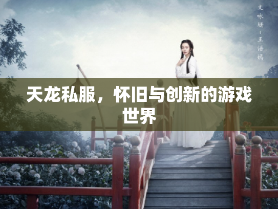 天龙私服，怀旧与创新的游戏世界