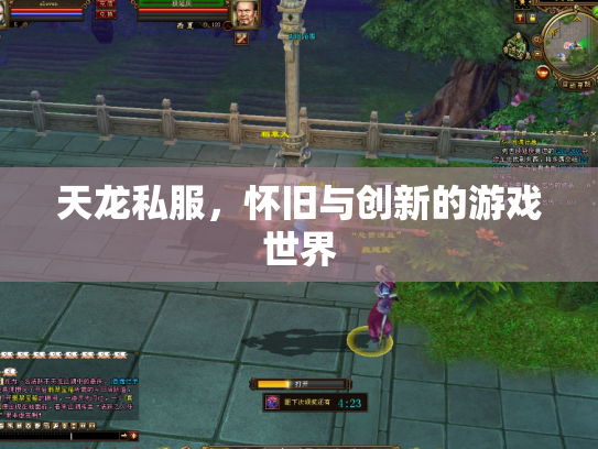 天龙私服，怀旧与创新的游戏世界