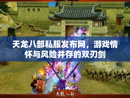 天龙八部私服发布网，游戏情怀与风险并存的双刃剑