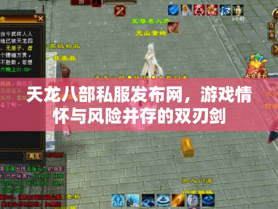 天龙八部私服发布网，游戏情怀与风险并存的双刃剑