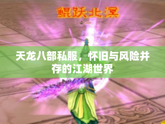 天龙八部私服，怀旧与风险并存的江湖世界