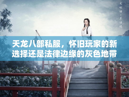 天龙八部私服，怀旧玩家的新选择还是法律边缘的灰色地带？