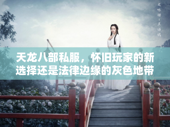天龙八部私服，怀旧玩家的新选择还是法律边缘的灰色地带？