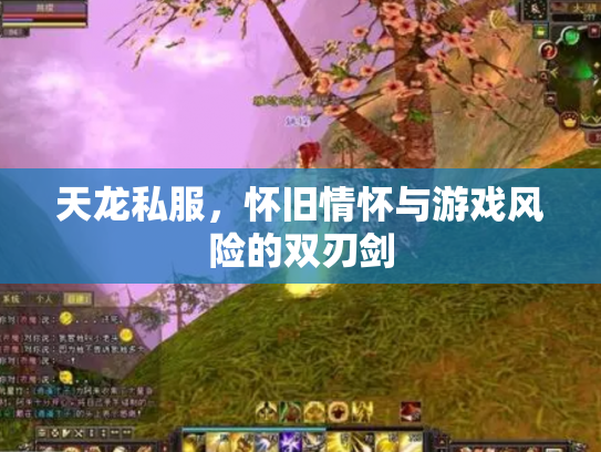 天龙私服，怀旧情怀与游戏风险的双刃剑
