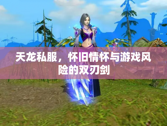 天龙私服，怀旧情怀与游戏风险的双刃剑