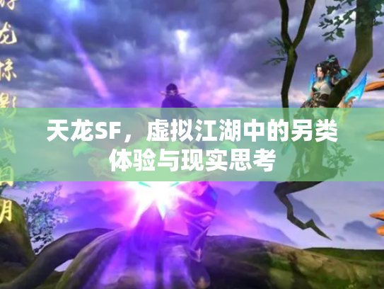 天龙SF，虚拟江湖中的另类体验与现实思考