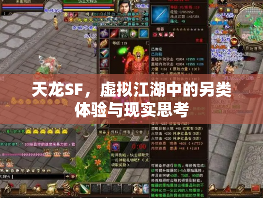 天龙SF，虚拟江湖中的另类体验与现实思考