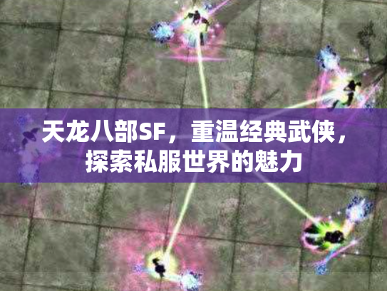 天龙八部SF，重温经典武侠，探索私服世界的魅力
