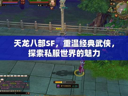 天龙八部SF，重温经典武侠，探索私服世界的魅力