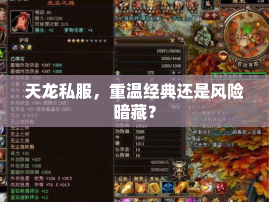 天龙私服，重温经典还是风险暗藏？