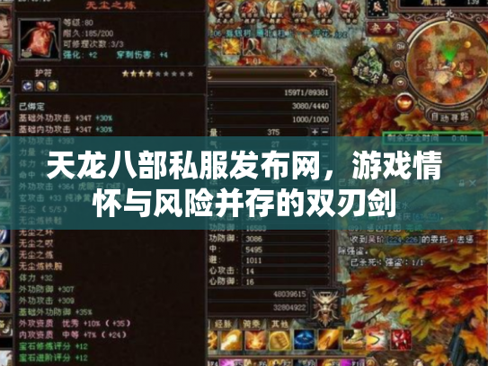 天龙八部私服发布网，游戏情怀与风险并存的双刃剑