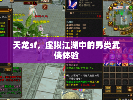 天龙sf，虚拟江湖中的另类武侠体验
