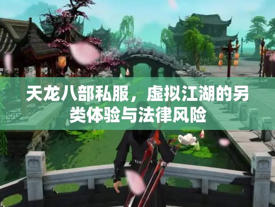 天龙八部私服，虚拟江湖的另类体验与法律风险