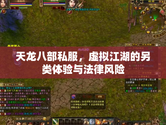 天龙八部私服，虚拟江湖的另类体验与法律风险