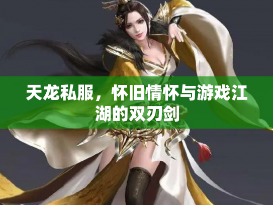 天龙私服，怀旧情怀与游戏江湖的双刃剑