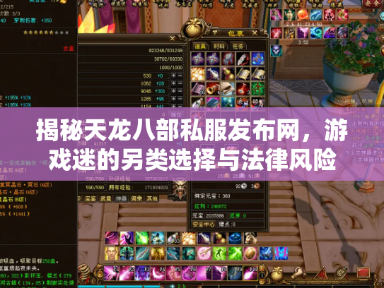 揭秘天龙八部私服发布网，游戏迷的另类选择与法律风险