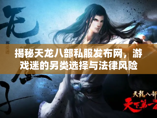 揭秘天龙八部私服发布网，游戏迷的另类选择与法律风险