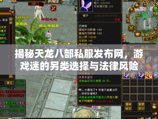 揭秘天龙八部私服发布网，游戏迷的另类选择与法律风险