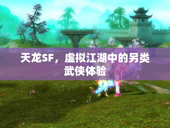 天龙SF，虚拟江湖中的另类武侠体验