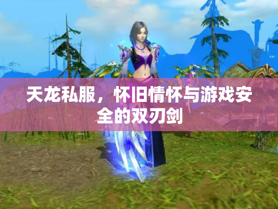 天龙私服，怀旧情怀与游戏安全的双刃剑