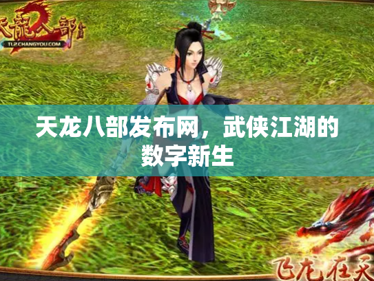 天龙八部发布网，武侠江湖的数字新生