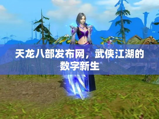 天龙八部发布网，武侠江湖的数字新生
