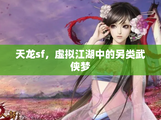 天龙sf，虚拟江湖中的另类武侠梦