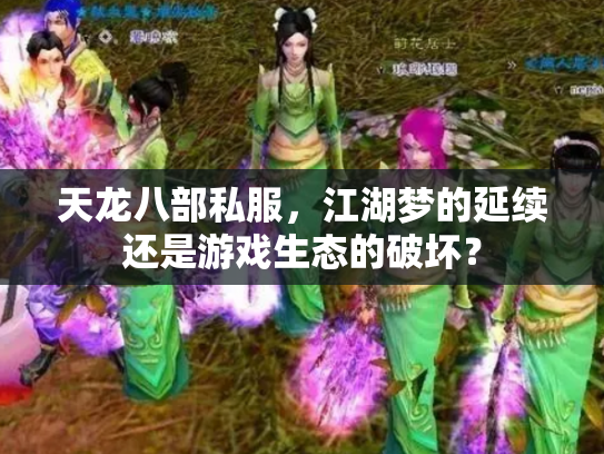 天龙八部私服，江湖梦的延续还是游戏生态的破坏？