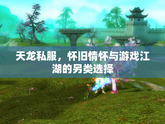 天龙私服，怀旧情怀与游戏江湖的另类选择