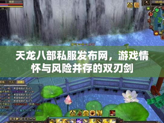 天龙八部私服发布网，游戏情怀与风险并存的双刃剑