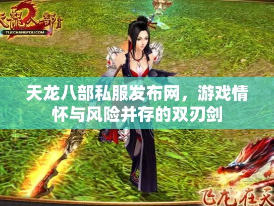 天龙八部私服发布网，游戏情怀与风险并存的双刃剑
